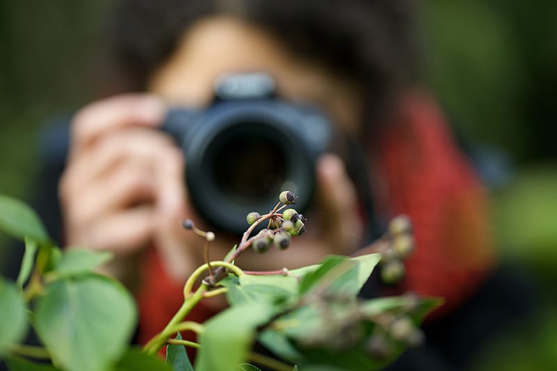 Profesional de la fotografía sacando foto a un árbol