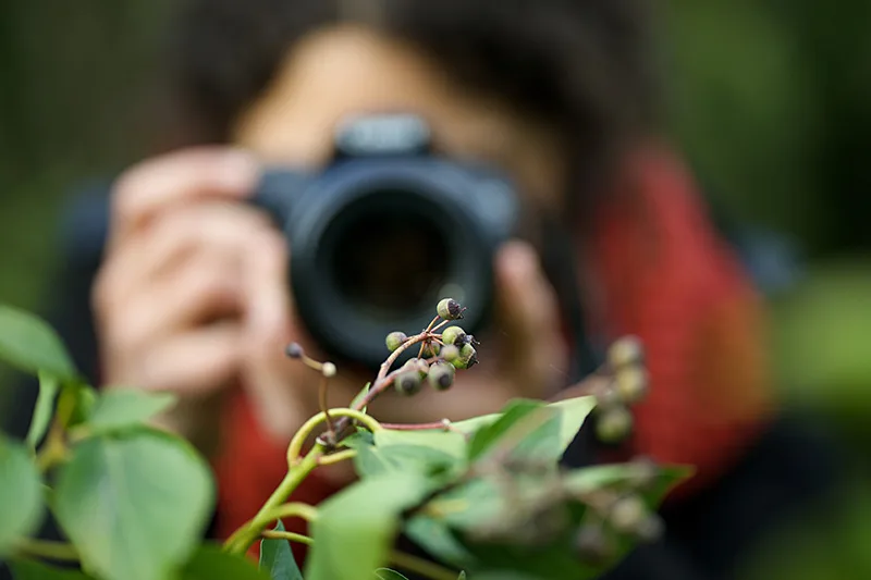 Profesional de la fotografía sacando foto a un árbol