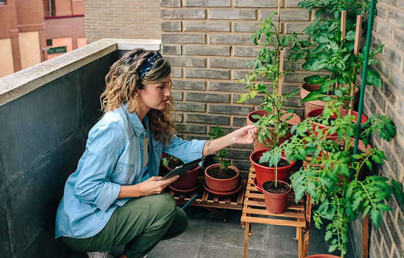 Mujer controla plantas en un huerto casero sostenible ubicado en un balcón