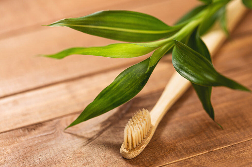 cepillos de dientes sostenibles con planta de bamboo